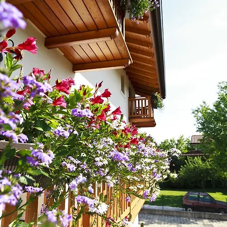 Diffuso B.vittorio * Polcenigo