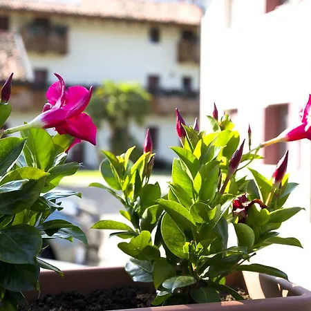 Diffuso B.vittorio Apartament Polcenigo