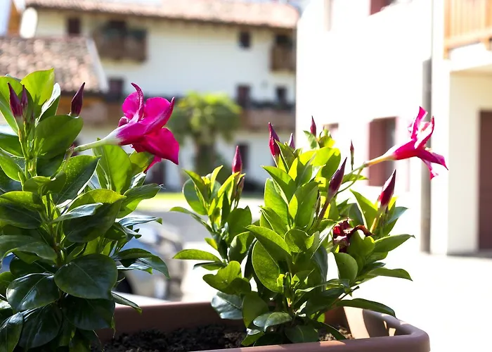 Diffuso B.vittorio Apartman Polcenigo